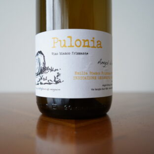 Angol d’Amig / アンゴル・ダミグ / プローニャ