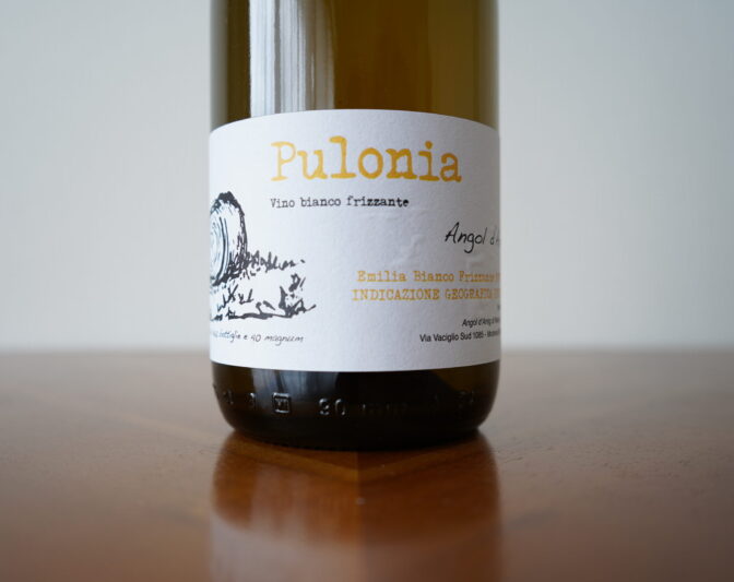 アンゴル・ダミグ / プローニャ 2019