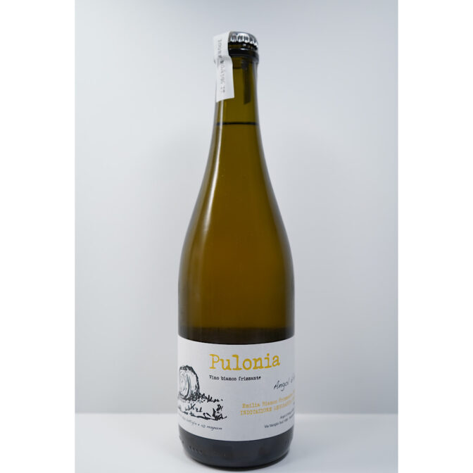 北イタリア、エミリア・ロマーニャ州のワインです。