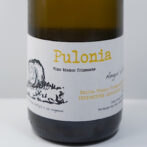 北イタリア、エミリア・ロマーニャ州のワインです。