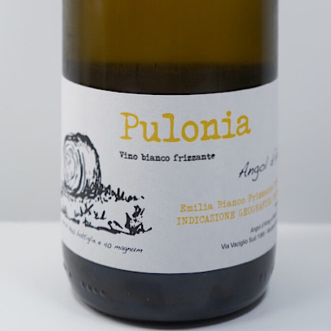 北イタリア、エミリア・ロマーニャ州のワインです。