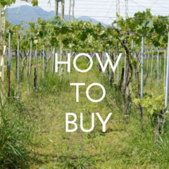 クーポン等ご利用方法について